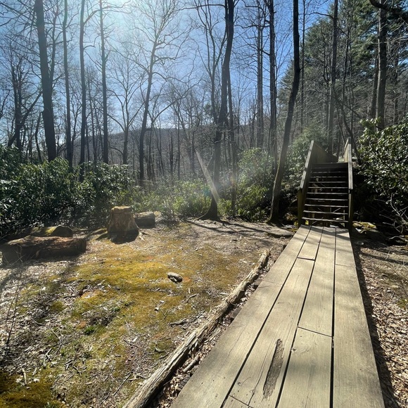 Meet your Posher, Rachel - Picture 4 of 7